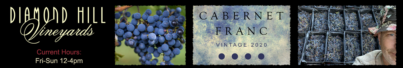 Close up of cabernet franc grapes, Detail from the wine label, cabernet frnac harvest 2020.