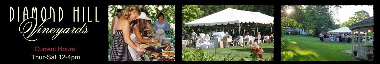 Scenes of guest enjoying a party on a sunny summer day.