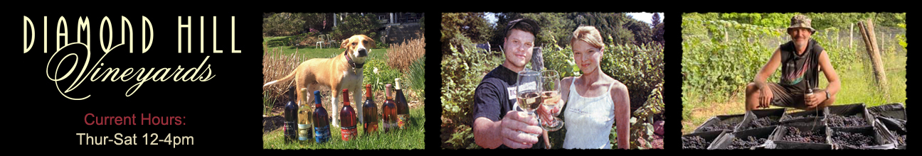 Wines on the tasting table, co-owners Alan and Chantelle Berntson toasting in the vineyard, a Club 11 reward card